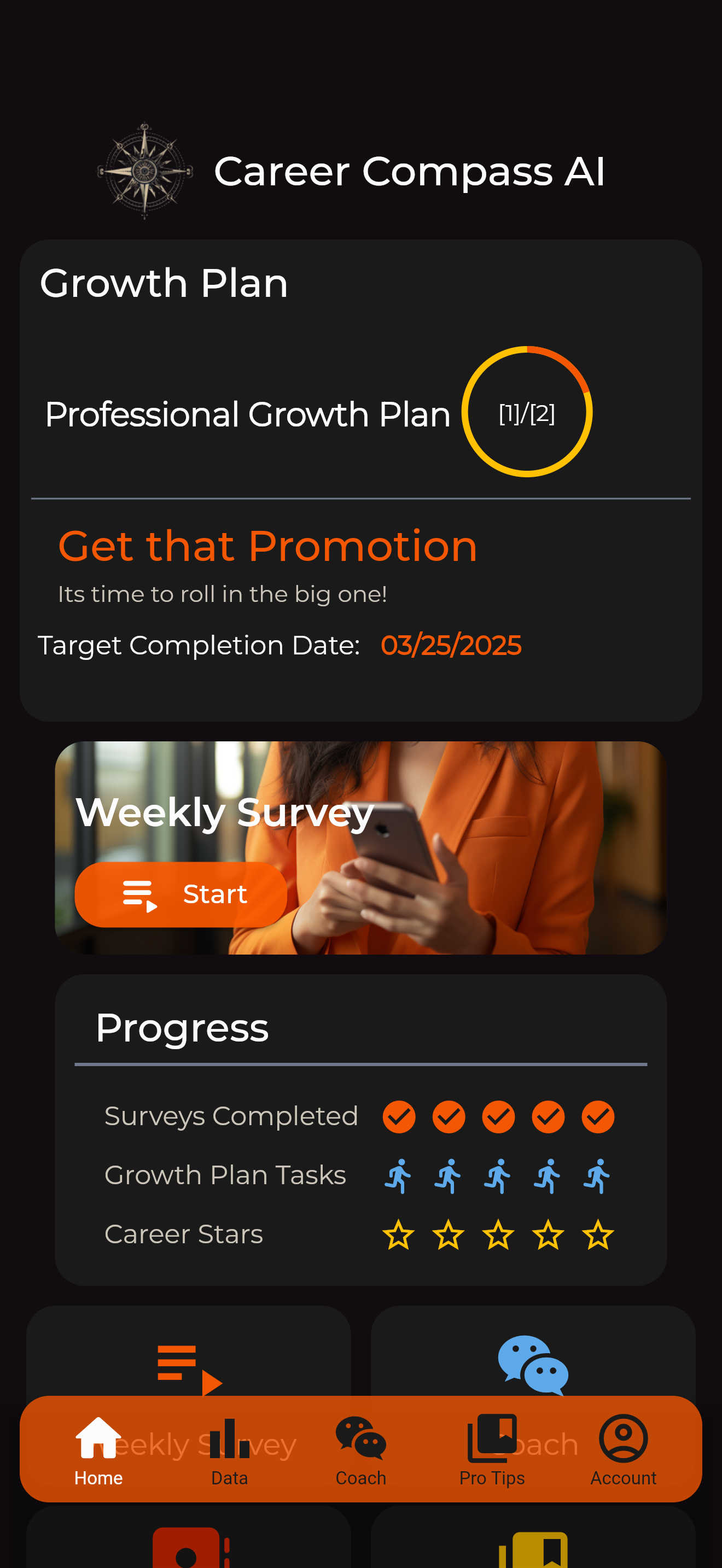 Career Compass AI application interface and features