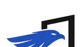 Candidate Falcon