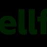 Sellfy