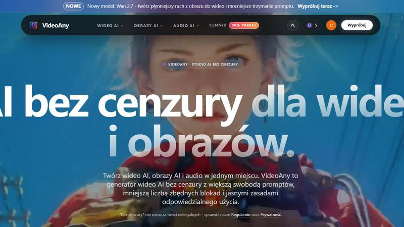VideoAny PL application interface and features
