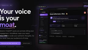 VoiceMOAT - AI tool for AI Assistants